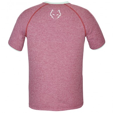 t-shirt Babolat Crew Neck Tee Lebron red dahlia