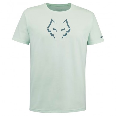 t-shirt Babolat Cotton Tee Lebron misty jade