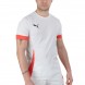t-shirt Puma Individual Padel Tee white