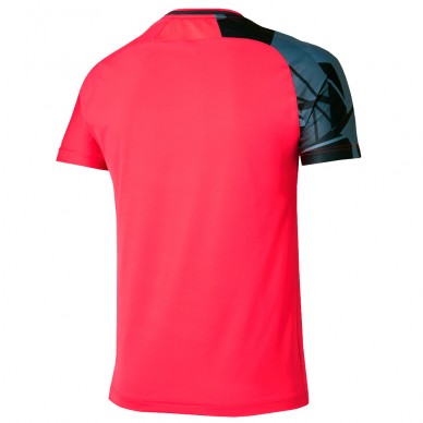 T-shirt Mizuno Daybreakers Shadow red